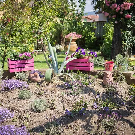 Il Giardino *
