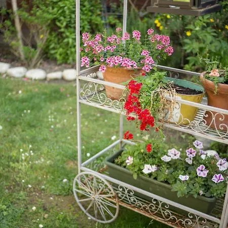 Il Giardino Cinquale