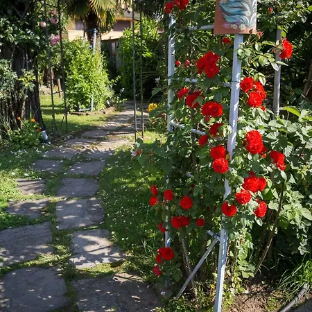 Il Giardino Cinquale