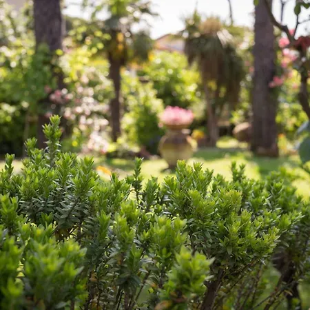 Il Giardino Cinquale