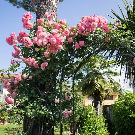 Il Giardino * Cinquale