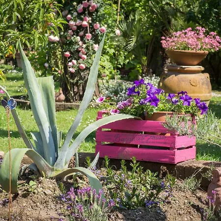Il Giardino Apartment Cinquale