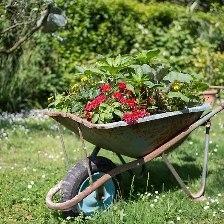 Il Giardino Apartment Cinquale