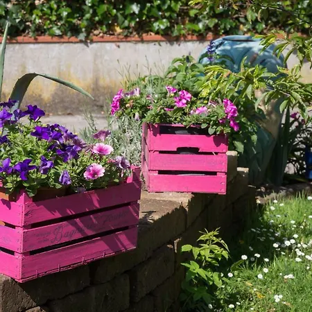 Il Giardino